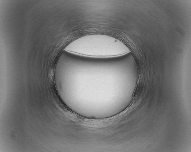 X0000113030045200908271104