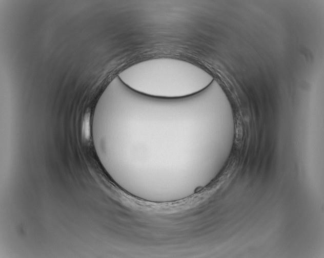 X0000113030046200908271104