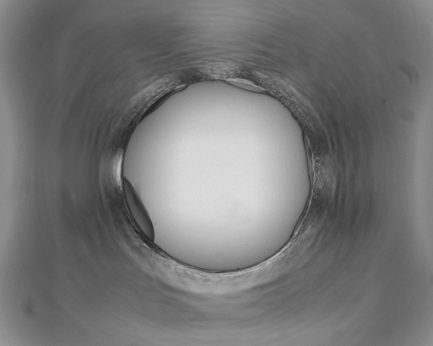 X0000113030047200908271104