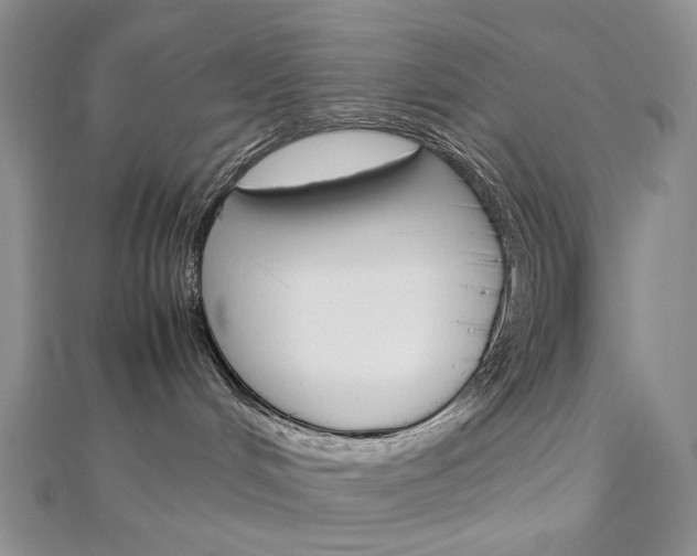 X0000113030048200908271104