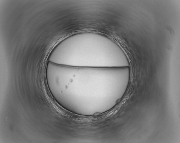 X0000113030049200908271104