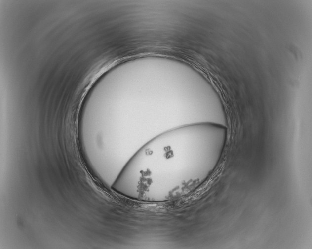 X0000113030050200908271104