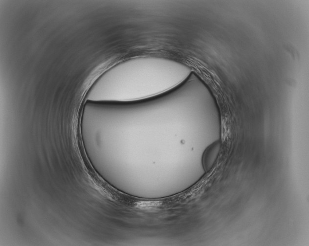 X0000113030051200908271104