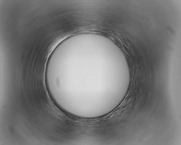 X0000113030052200908271104