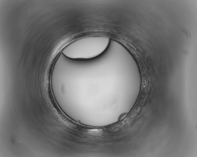 X0000113030053200908271104