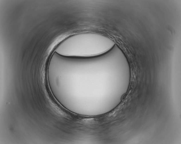 X0000113030054200908271104