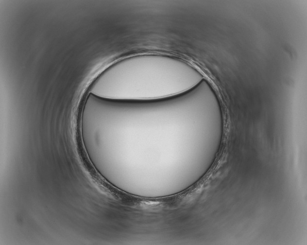 X0000113030055200908271104