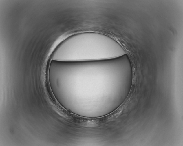 X0000113030056200908271104