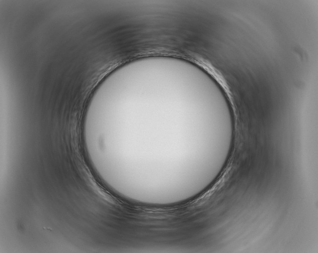 X0000113030057200908271104