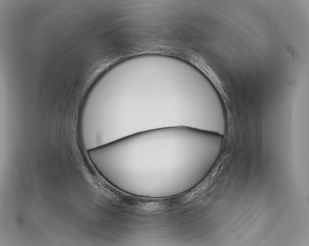 X0000113030058200908271104