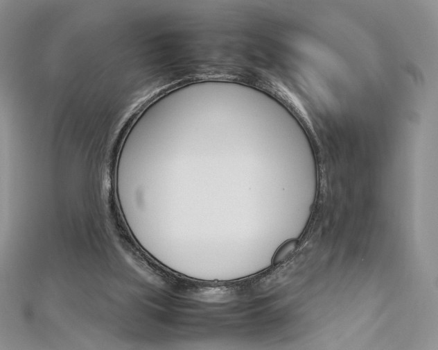 X0000113030059200908271104