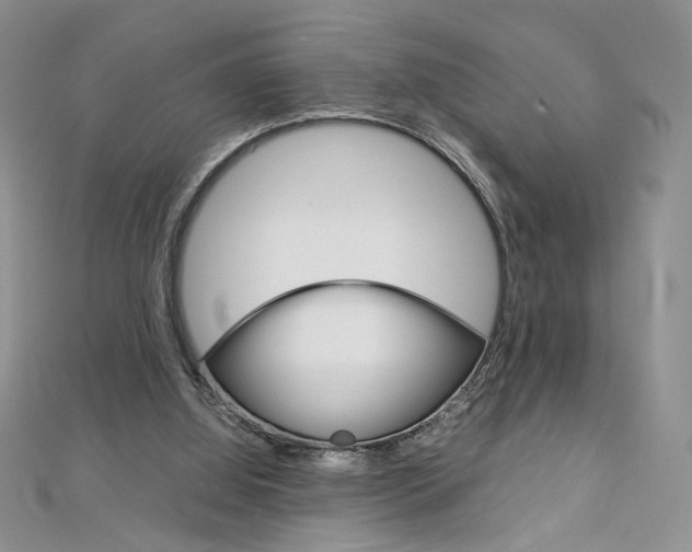 X0000113030060200908271104