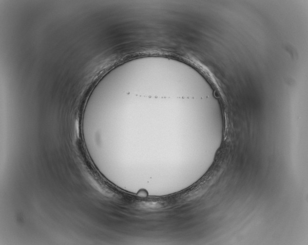 X0000113030061200908271104