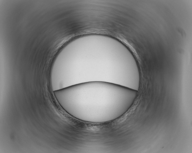 X0000113030062200908271104