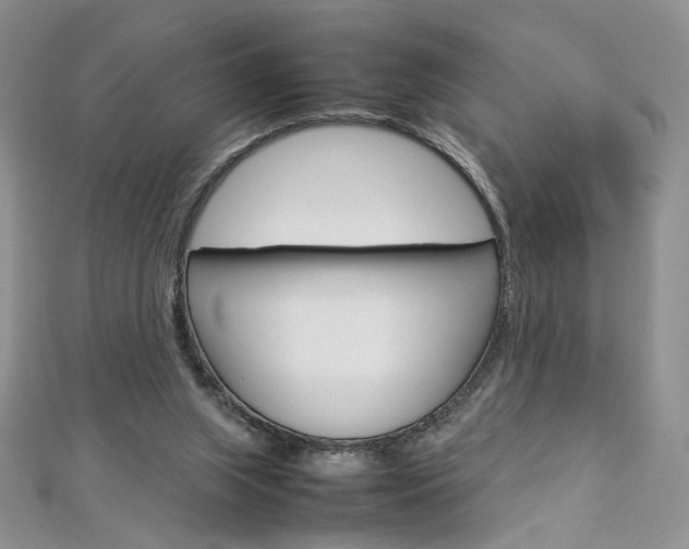 X0000113030063200908271104