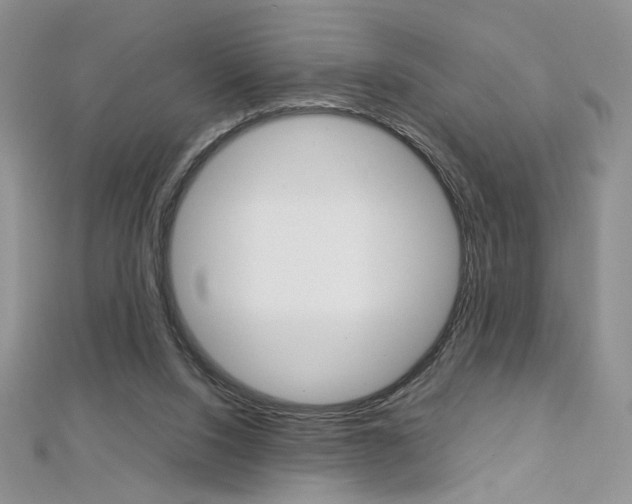 X0000113030064200908271104