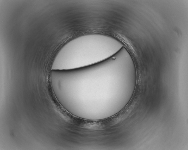 X0000113030065200908271104