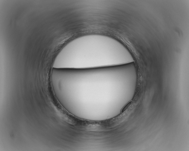 X0000113030066200908271104