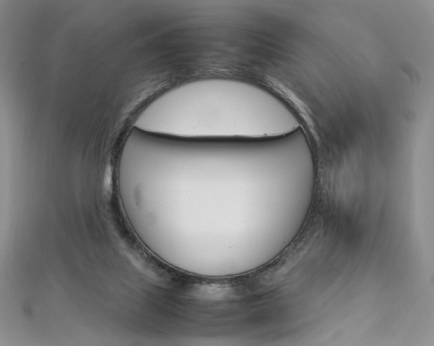 X0000113030067200908271104