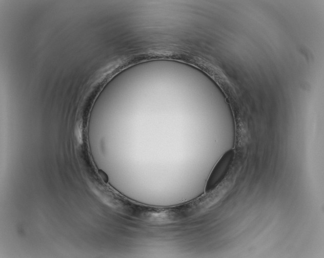 X0000113030068200908271104