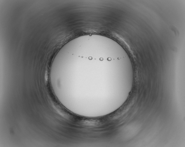 X0000113030069200908271104