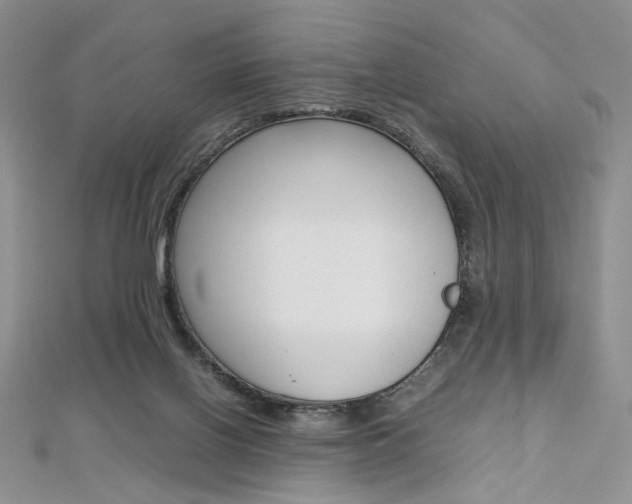 X0000113030070200908271104