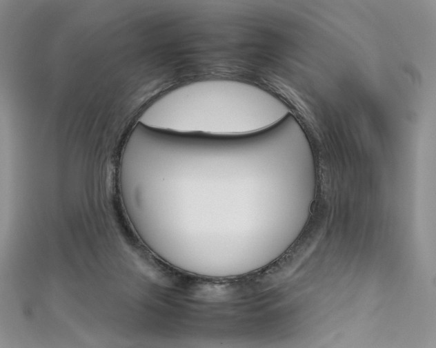 X0000113030071200908271104