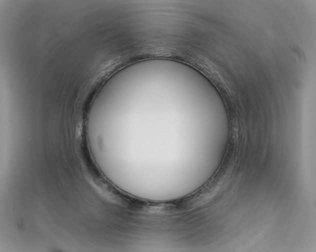 X0000113030072200908271104