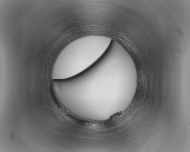 X0000113030074200908271104