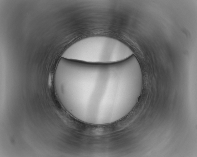 X0000113030075200908271104