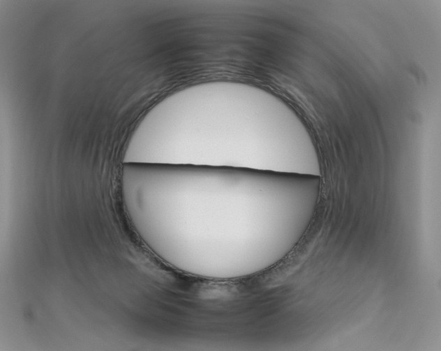 X0000113030077200908271104