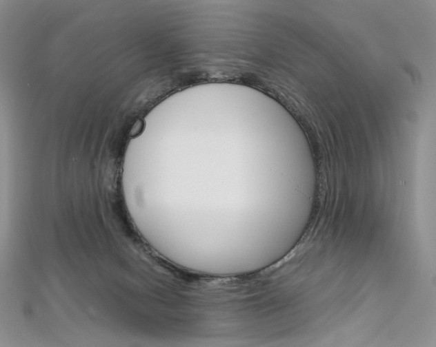 X0000113030078200908271104