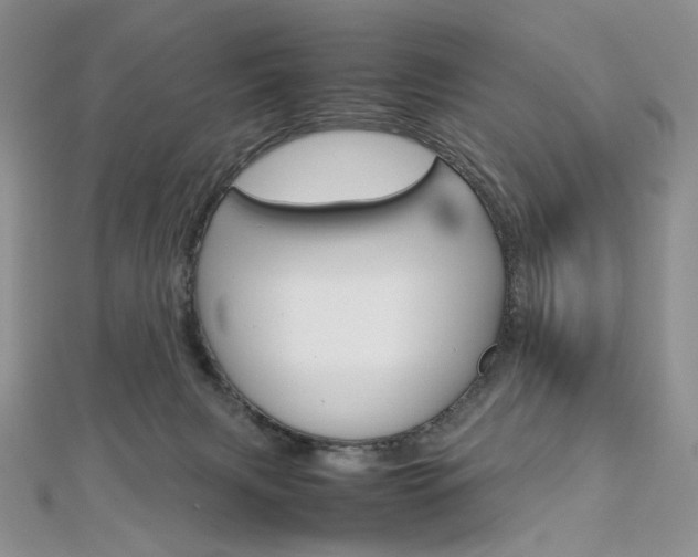 X0000113030079200908271104