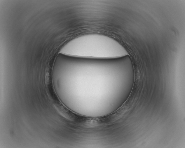 X0000113030080200908271104