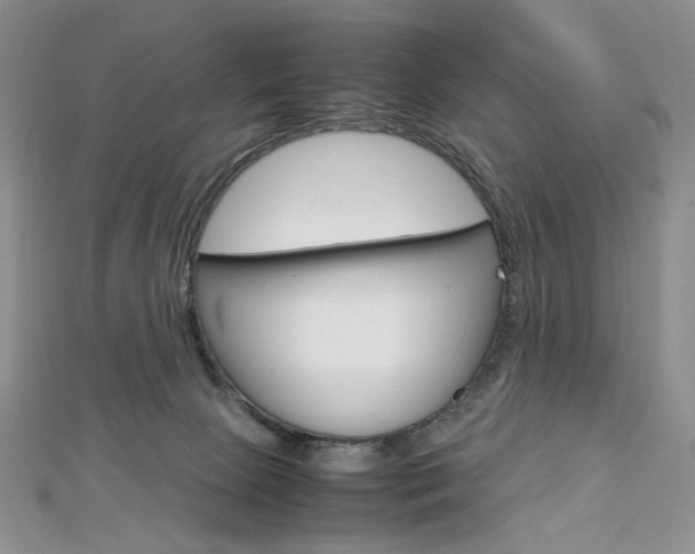 X0000113030081200908271104