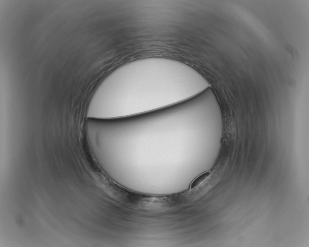 X0000113030082200908271104