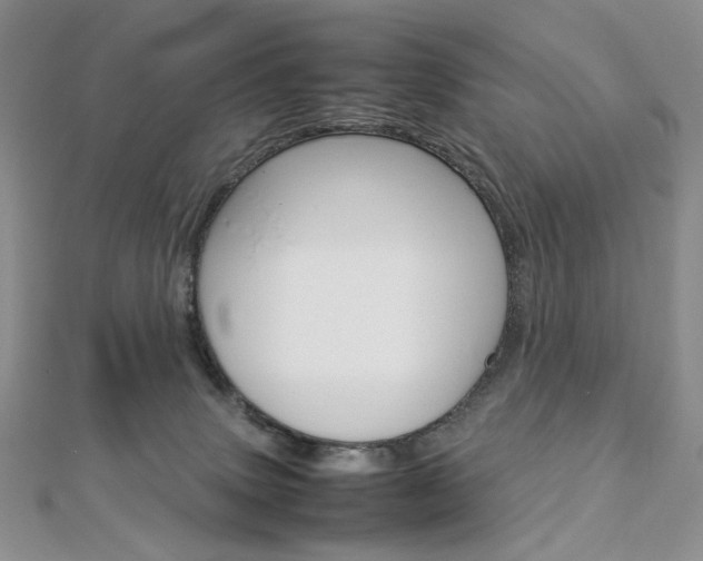 X0000113030083200908271104