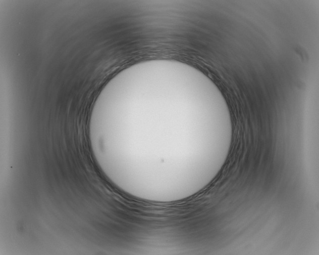 X0000113030084200908271104