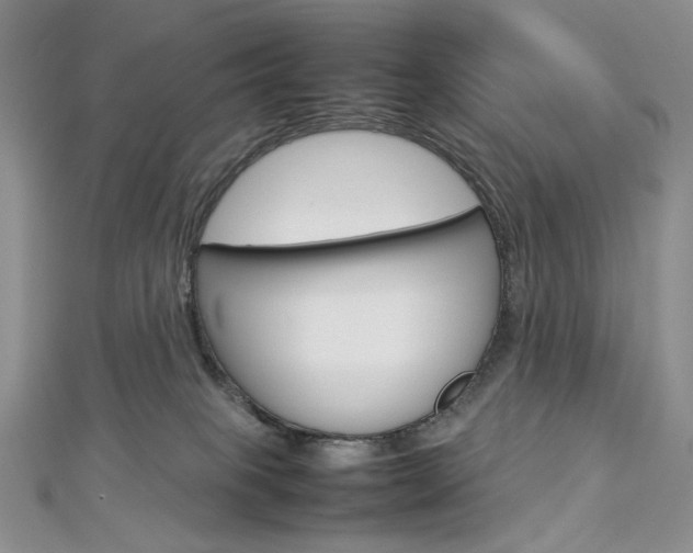 X0000113030085200908271104