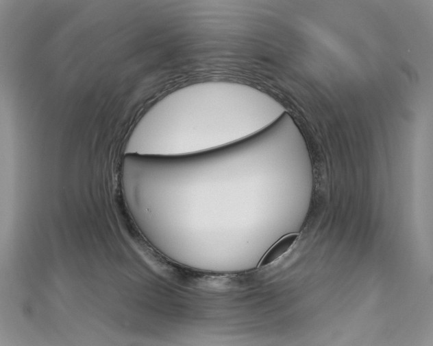 X0000113030086200908271104