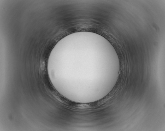 X0000113030087200908271104