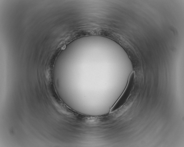 X0000113030088200908271104