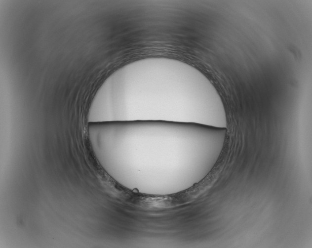 X0000113030089200908271104