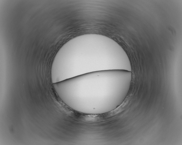 X0000113030090200908271104