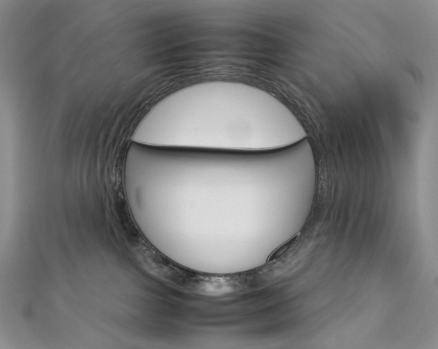 X0000113030091200908271104