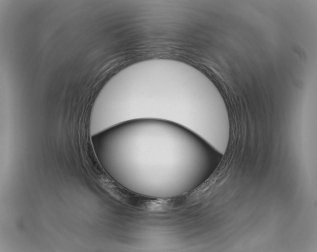 X0000113030092200908271104