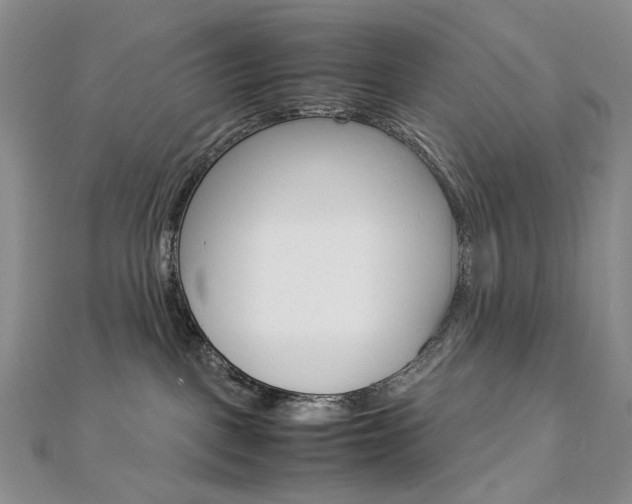 X0000113030093200908271104