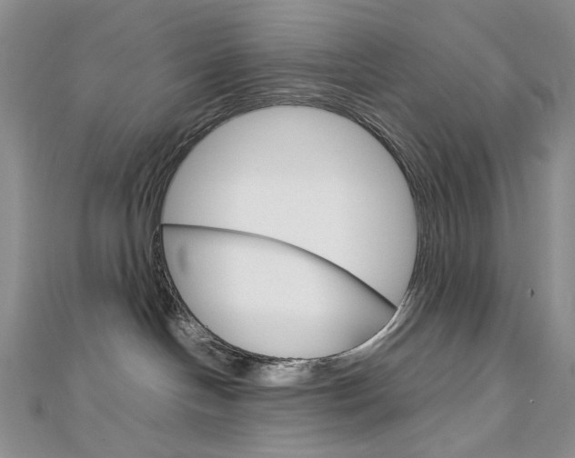 X0000113030094200908271104