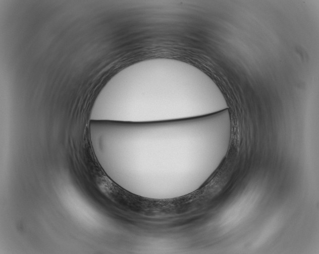 X0000113030095200908271104