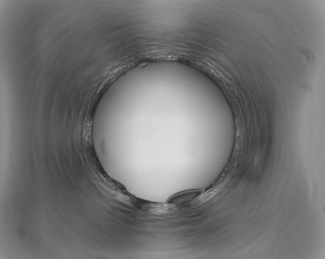 X0000113030096200908271104